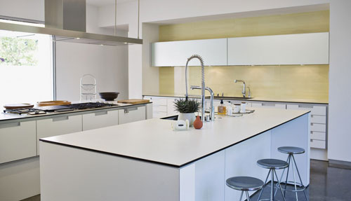 Northern Saw-Whet Owl